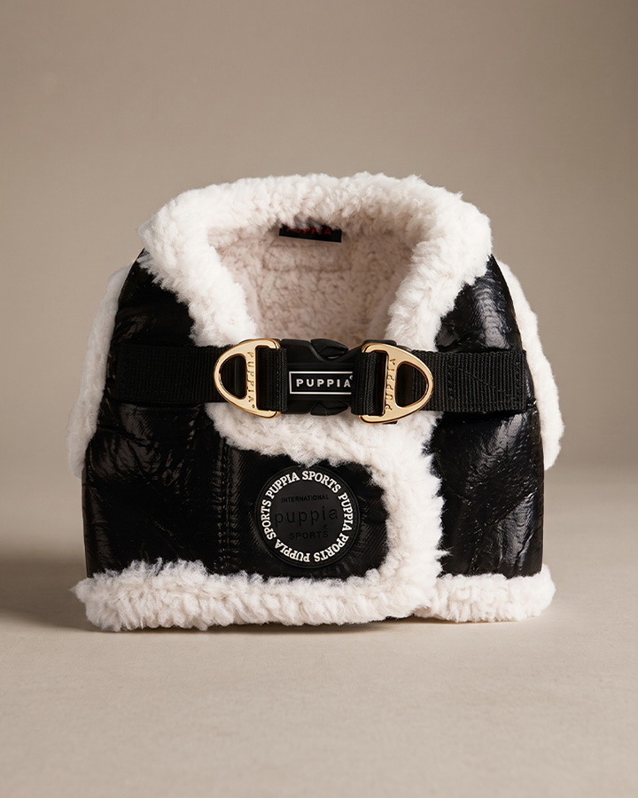 Aviator-inspired winter dog harness