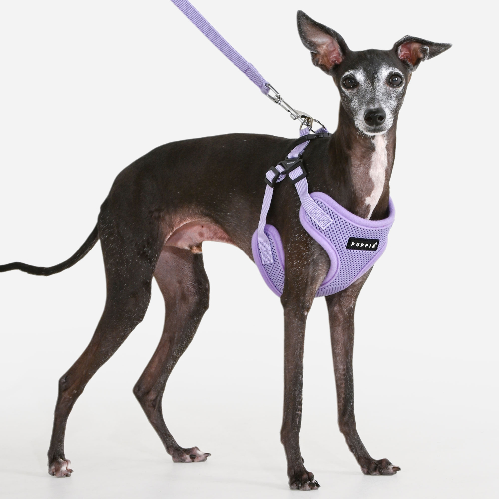 SOFT HARNESS C