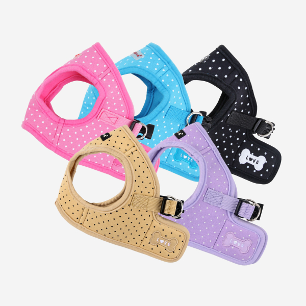DOTTY HARNESS B