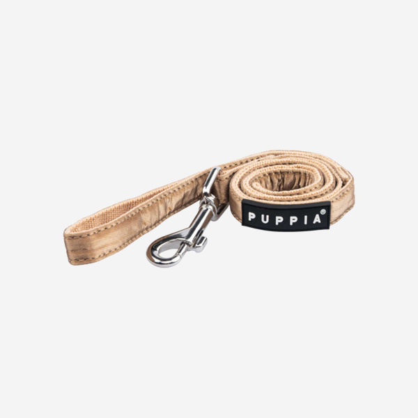 Winterstride Leash