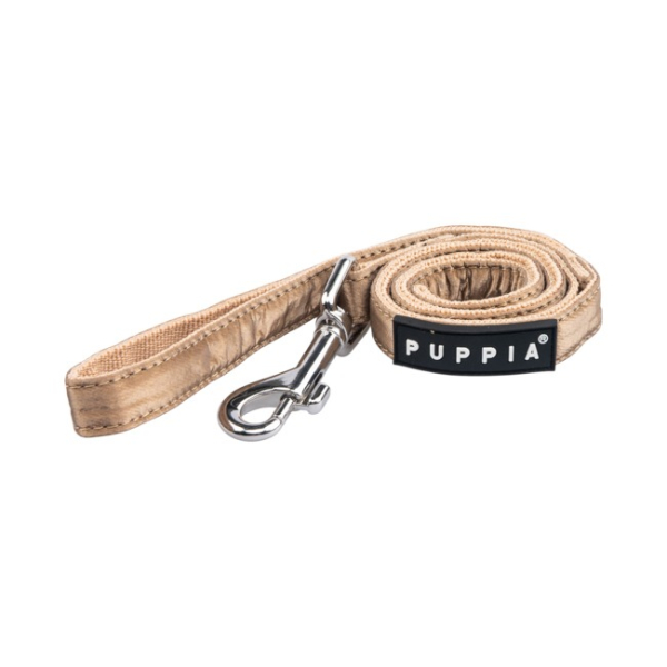 Winterstride Leash