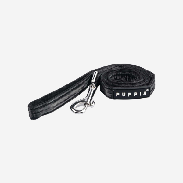 Winterstride Leash