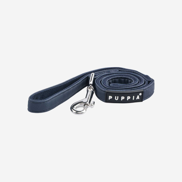 Wynter Leash