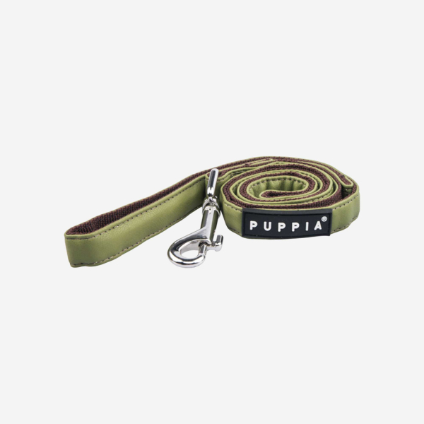 Wynter Leash