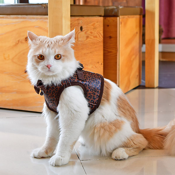 LEONE HARNESS B