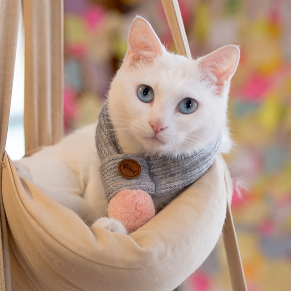 PRUITT SCARF
