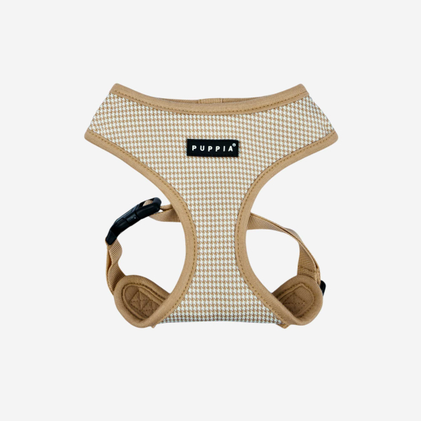AMATUS HARNESS A
