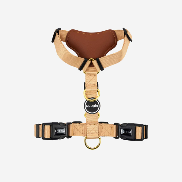 Flex Motion Harness