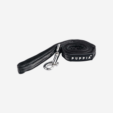 Winterstride Leash