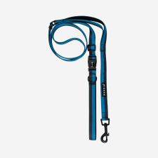 Flex Link Leash