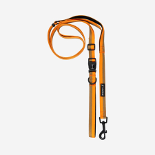 Flex Link Leash