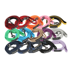 Two Tone Lead