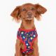 FETE HARNESS A
