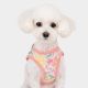 EVANTHE HARNESS B