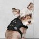 SOFT HARNESS E