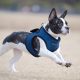SOFT VEST HARNESS B