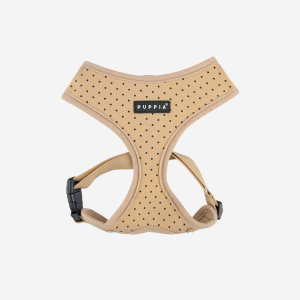 DOTTY HARNESS A