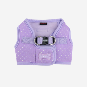 DOTTY HARNESS B