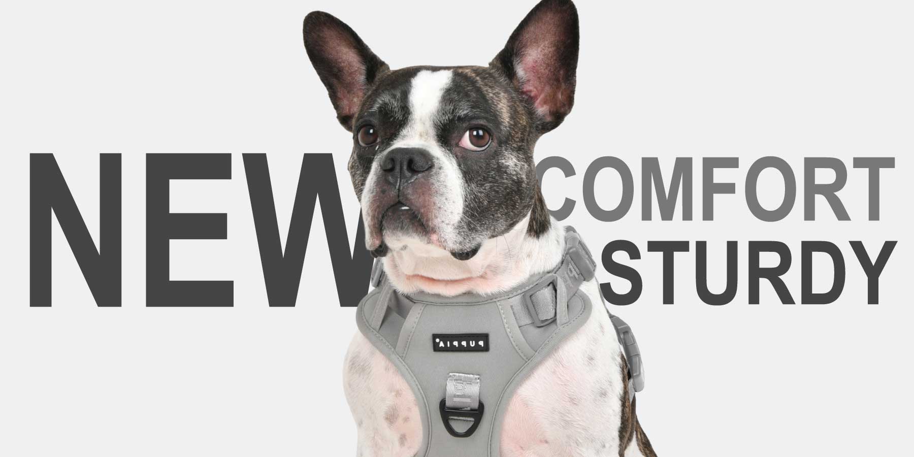 H Harnesses (H-type)