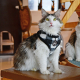FIGARO HARNESS A