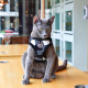 FIGARO HARNESS C