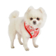 VERNA HARNESS A