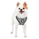 LEGACY HARNESS A