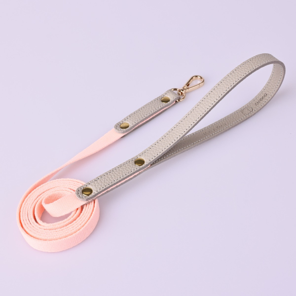 PU Shrunken Leash