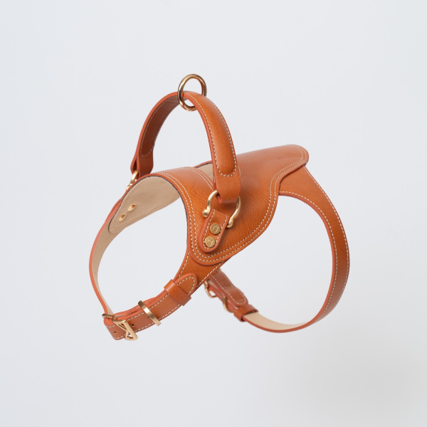 Toscana Harness