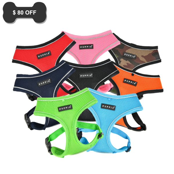 Soft Harness Pro A (Essential)