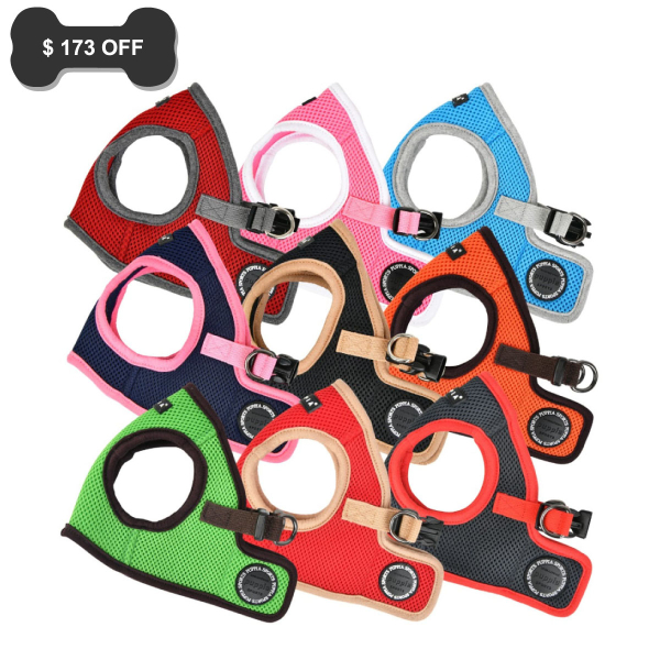 Soft Harness II B (Plus)
