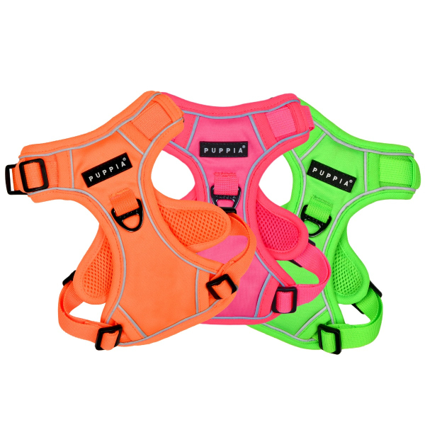 NEON HARNESS H