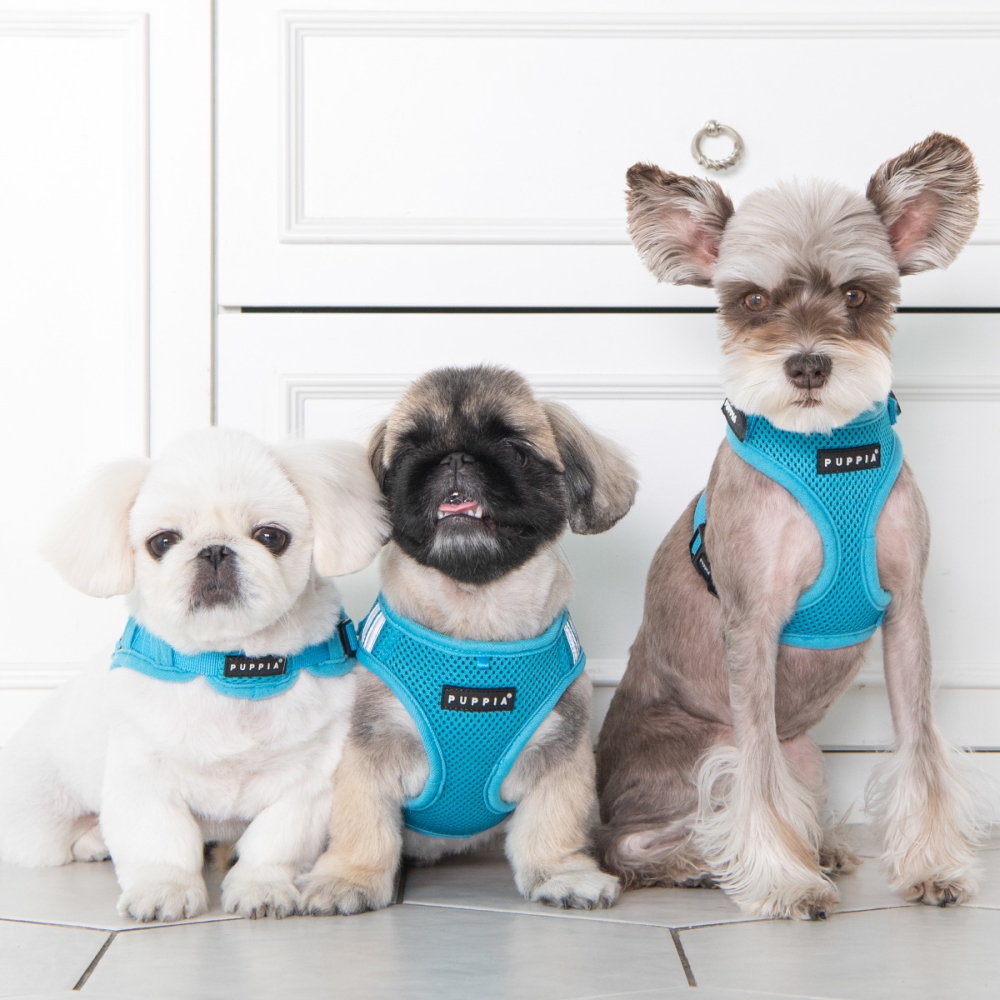 SOFT HARNESS X