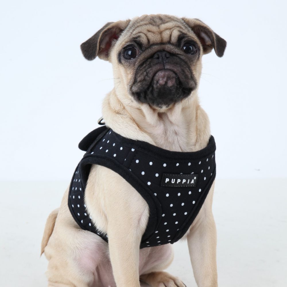 puppia dotty harness