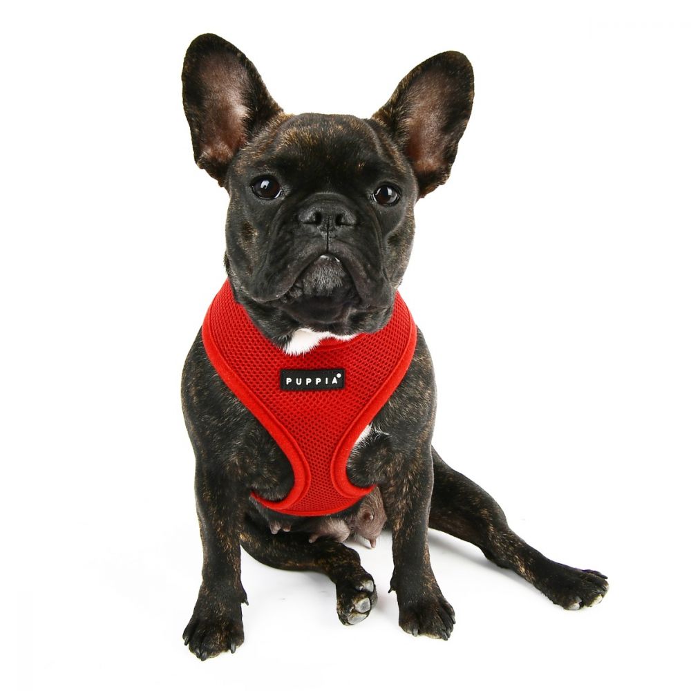 puppia harness