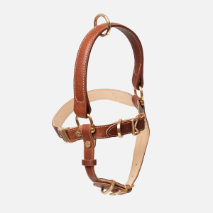 Handle Harness