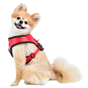 LEGACY SNUGFIT HARNESS E