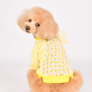 ALAIA