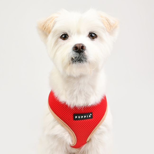 Puppia verna harness top