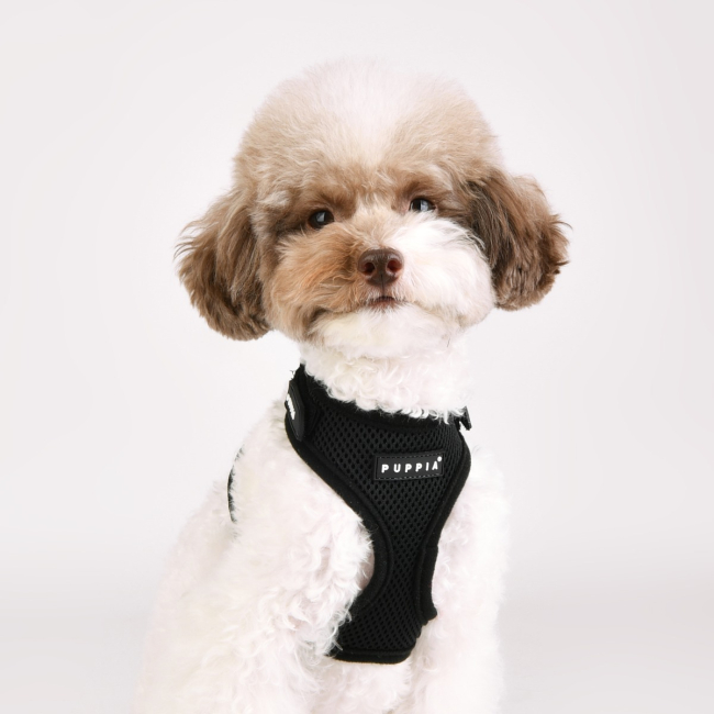 SOFT SUPERIOR HARNESS A