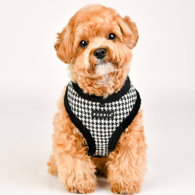 How to put on a puppia harness top
