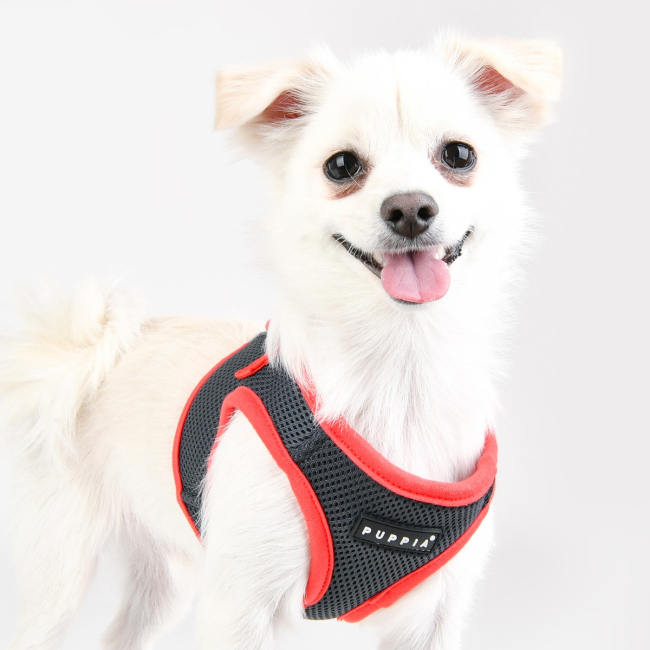 SOFT VEST HARNESS II