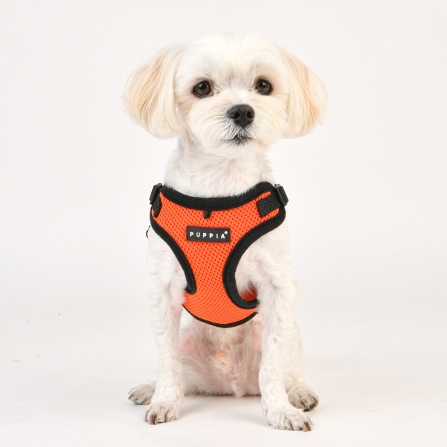How to put on puppia harness shop