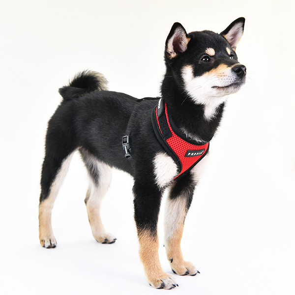 SOFT VEST HARNESS B