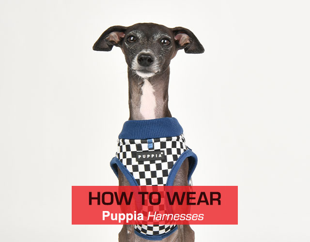 puppia clothes