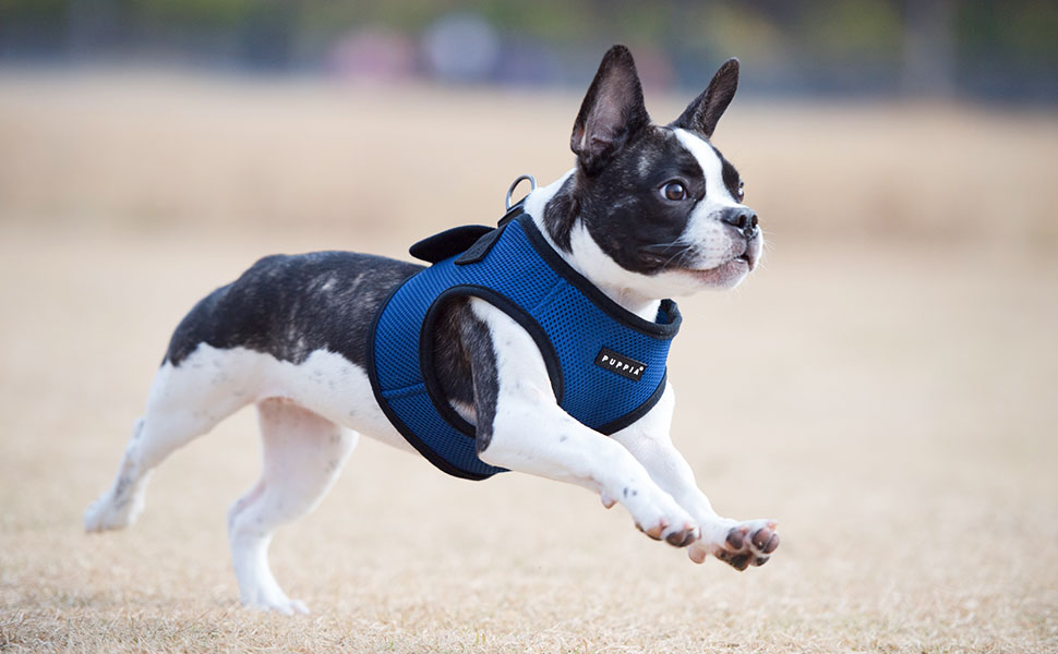 Puppia Soft Vest Dog Harness